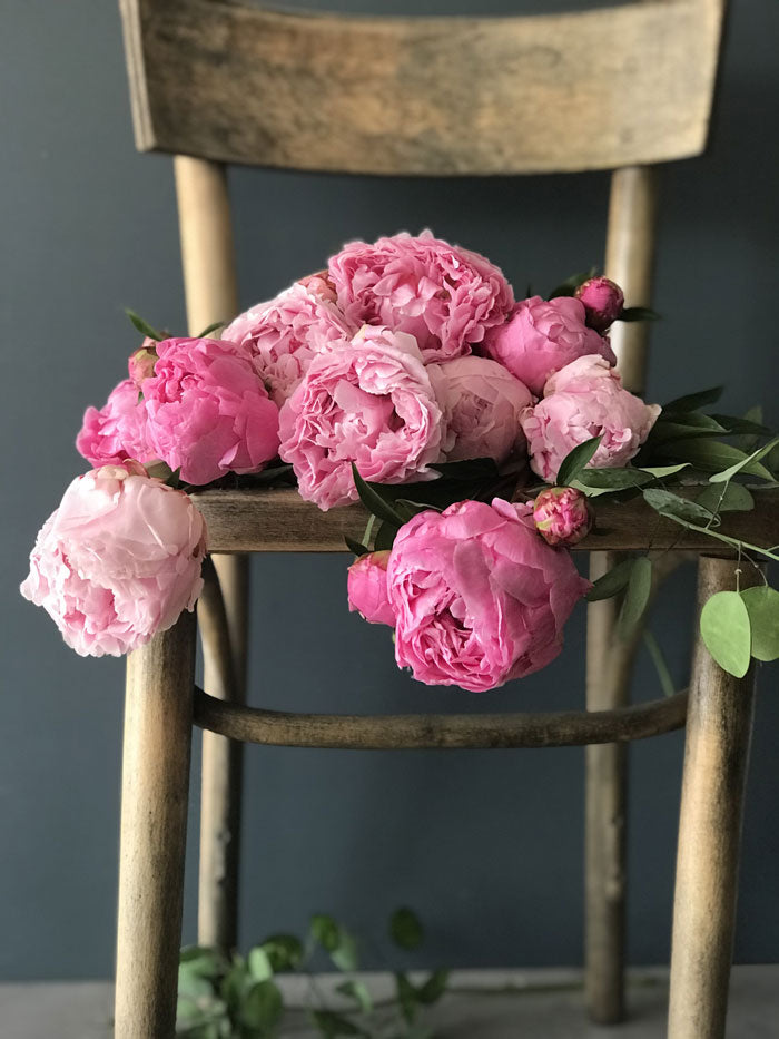 Peonies By-the-Bunch